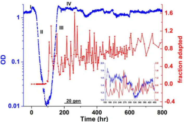 Figure S6 also shows that, similar to the chemostat experiment of Fig. 1, the fraction of adapted cells in the batch cultures fluctuates over long durations during phase IV of the dynamics