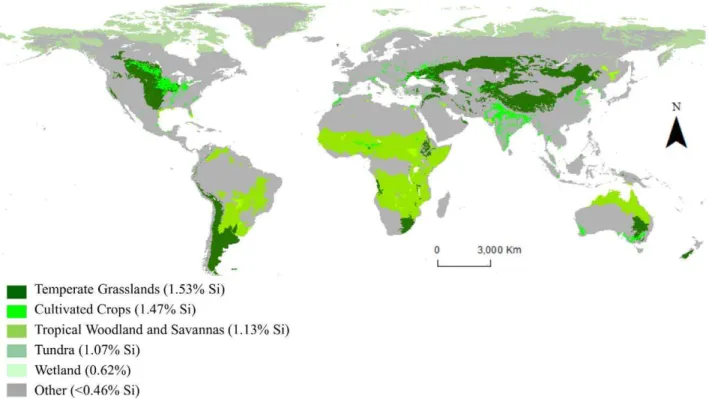 Figure 1. Global land cover by Si accumulating crops. Shades of green are directly proportional to degree of active Si accumulation (i.e., darker green indicates more Si accumulation)