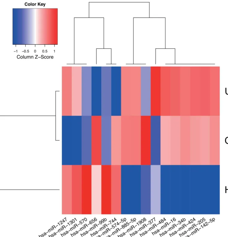 Fig 2. Expression profile of signature miRNAs. Median normalized expression levels for miRNAs considered by the final models (sparsest median performing elastic SCAD SVMs) used to distinguish CD, UC and HC are shown