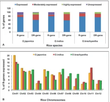 Fig 7. Expression pattern of R-like and DR-genes. (A)Percentage expression analysis of R-like and DR- DR-genes in O