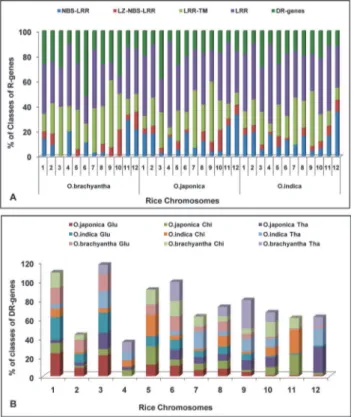 Fig 2. Percentage distribution of classes of R- and DR-genes. (A) Percentage distribution of R-genes belonging to specific class present on 12 chromosomes of O