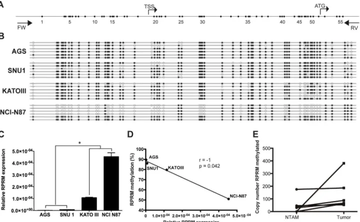 Fig 1. Regulation of RPRM expression by methylation of its promoter region. A) RPRM promoter region analyzed by bisulfite quantification