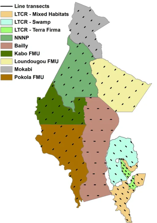 Figure 5. Landscape survey strata and transect placement. NNNP = Nouabale´-Ndoki National Park, LTCR = Lac Te´le´ Community Reserve, FMU = Forestry Management Unit.