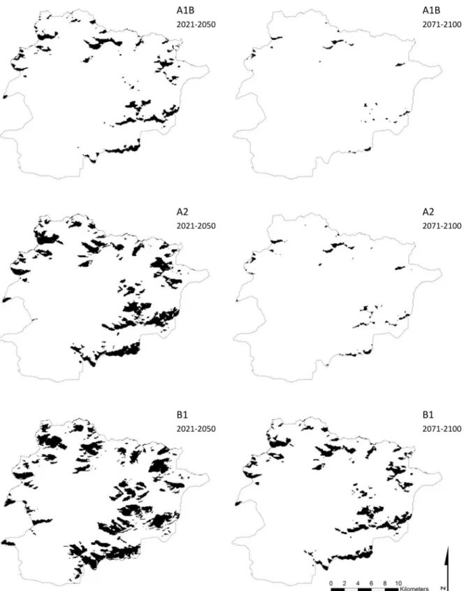 Fig 2. Rhododendron ferrugineum potential distribution under climate change. The black tone indicates predicted areas of the potential distribution of Rhododendron ferrugineum in Andorra under three climate changes scenarios (A1B, A2 and B1) for the period