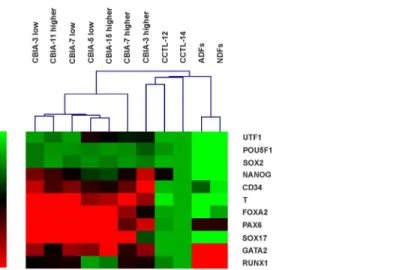 Fig 7. Hierarchical clustering of hPSC lines and dermal fibroblasts based on quantitative real-time PCR data