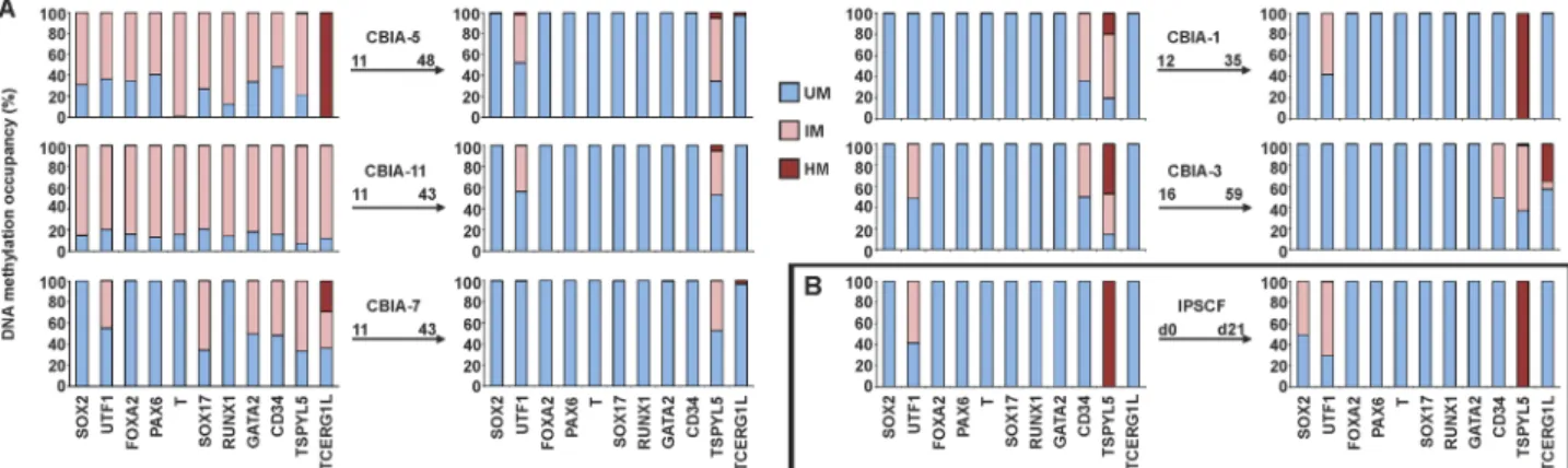 Fig 5. Changes in the DNA methylation profile during prolonged hiPSC culture and differentiation