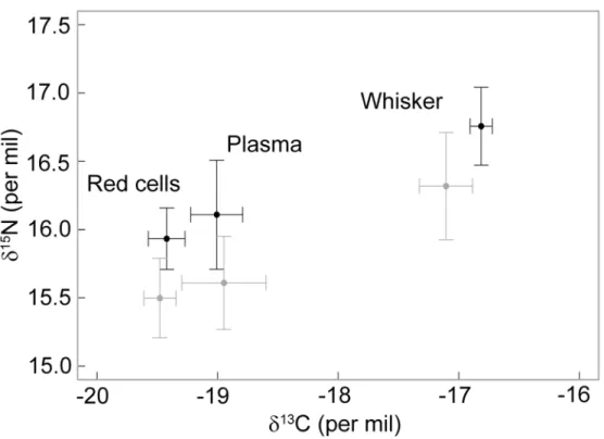 Fig 2. Plasma, red blood cells and mean whisker δ 13 C and δ 15 N values of male (black) and female (grey) Australian fur seals sampled in winter