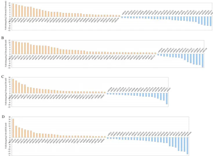 Figure 4. TAS3 -like locus in cotton. The space size between the two miR390 complementary sites was less than 231 nt (11 phases).