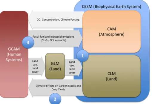 Figure 2. Schematic of the integrated Earth System Model (iESM) showing its major com- com-ponent models GCAM, CESM, and GLM as well as the two-way connections between these models.