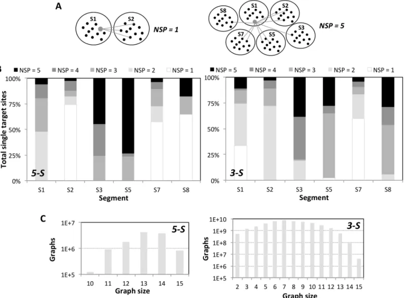 Fig 3. NSP of single target sequences in an effective Double and segment partner graphs