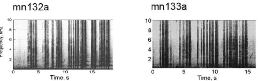 Figure 2. Examples of the most common phrases for each recording. Spectrograms were generated in Matlab (Hamming window, FFT size 2048, 50% overlap).