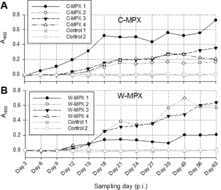 Fig 6. Immune response in Cricetomys after MPXV challenge. Absorbance values measured at 450nm from ELISA assays for both experimental groups: