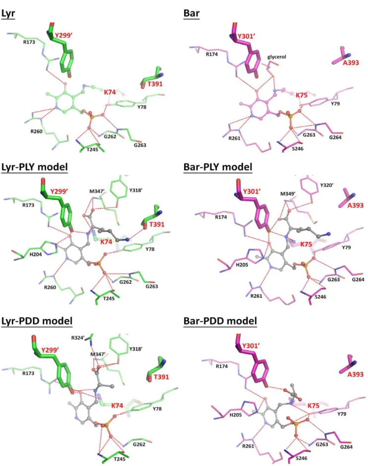 Figure 6. Protein-ligand interactions in crystal structures and docked models (See also Figure S4 and Table S2, S3, S4, S5)