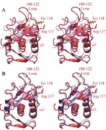 Figure 4. Electrostatic surface potential calculation. GRASP2 [51,52] electrostatic surface potentials within the DNA-binding grooves calculated for equivalent N-terminal fragments of: (A) S