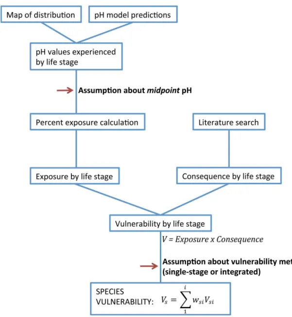 Fig 1. Conceptual diagram of vulnerability assessment components. Diagram includes steps in the vulnerability assessment—exposure and consequence scores that determine stage vulnerability