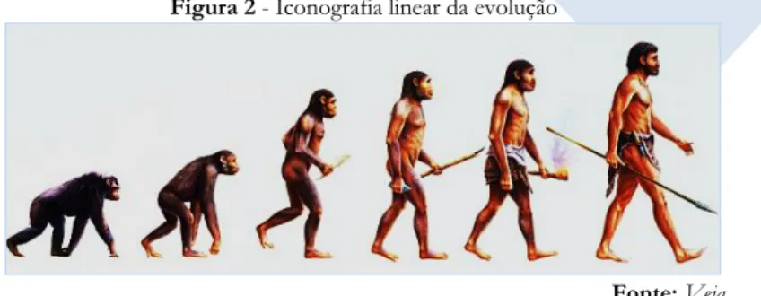 Figura 2 - Iconografia linear da evolução