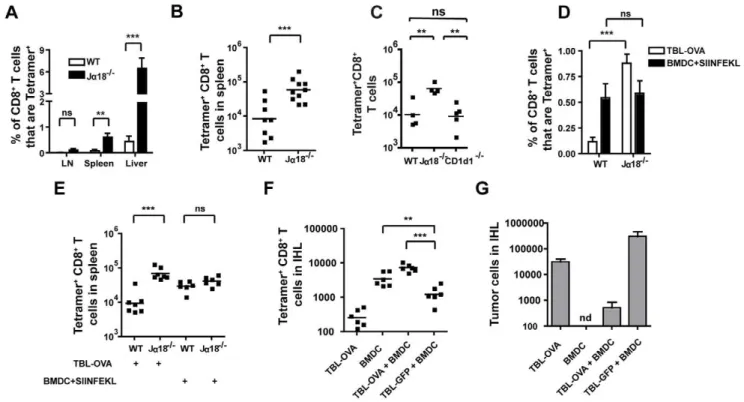 Figure 6. Jalpha18 2/2 mice have enhanced CD8 + T cell responses to tumor-derived antigen