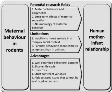 Figure 1. Key concepts regarding the translation of basic findings on maternal  behavior to human mother-infant relationship and associated issues