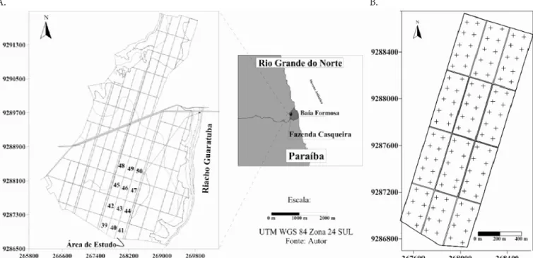 Figura 1. Área da Usina Vale Verde com a delimitação dos talhões estudados (A) e o Grid dos pontos amostrais  georreferenciados (B)