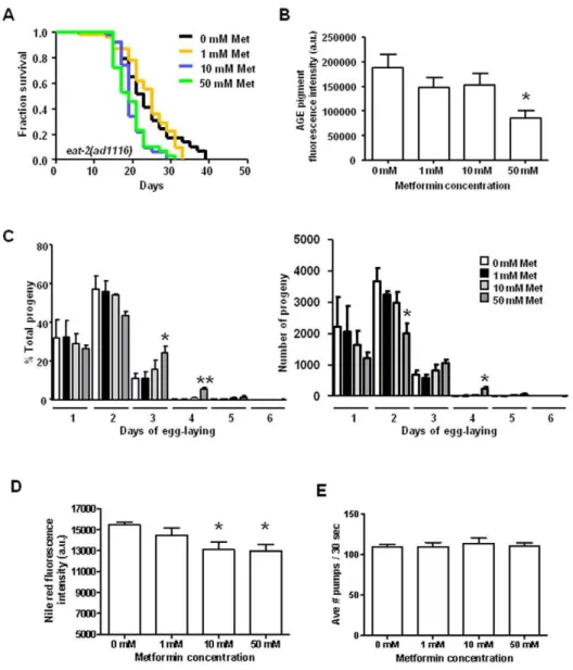 Figure 2. Metformin does not further increase the median lifespan of DR-constitutive mutant eat-2, and metformin treatment triggers several DR phenotypes in wild-type C