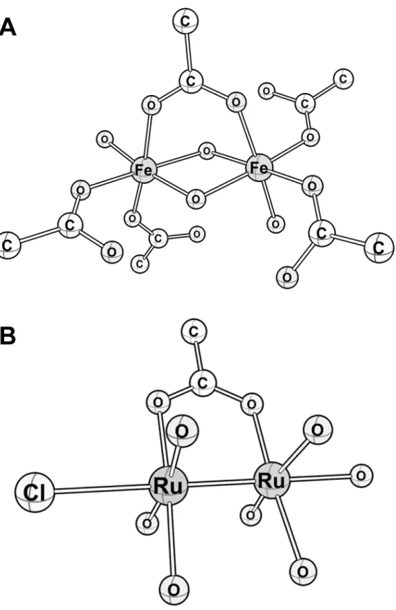 Fig 6. Proposed structural models of FeIII2Ggly and RuIII2Ggly. The model for Fe III 2 Ggly (A) is based on the EXAFS data presented in Fig 5B, and is consistent with previous NMR and visible spectroscopic studies of Ggly and mutant peptides.[8,9,12] The t