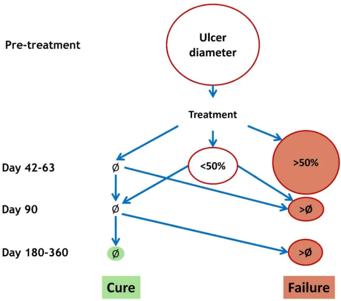 Figure 3. Decision tree for the assessment of treatment outcome. Ø = complete re-epithelialisation; , 50% = less than 50% of the initial size;