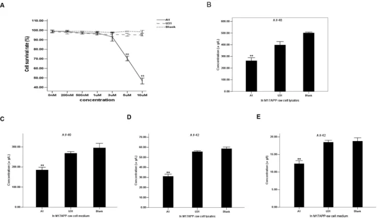 Fig 4. Specific inhibitory effect of aptamer A1 on BACE1 activity in an AD cell model