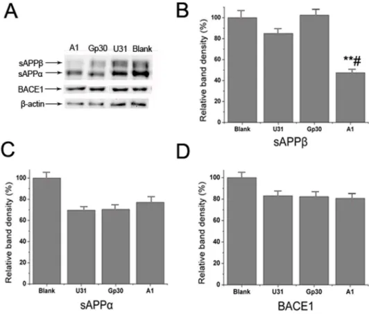 Fig 5. Specific inhibitory effect of aptamer A1 on BACE1 activity in an AD cell model