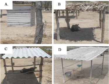 Figura 1. Abrigo meteorológico (A), bezerreiro coberto com  palha, (B), telha reciclada (C) e telha de ibrocimento (D)