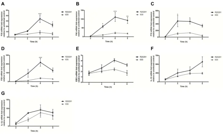 Figure 2. Time-dependent effects of C. difficile R20291 and 630 infection on BMDC cytokine mRNA expression