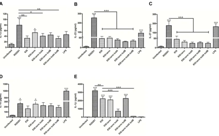 Figure 3. C. difficile -mediated effects on BMDC cytokine production. BMDCs were infected with C