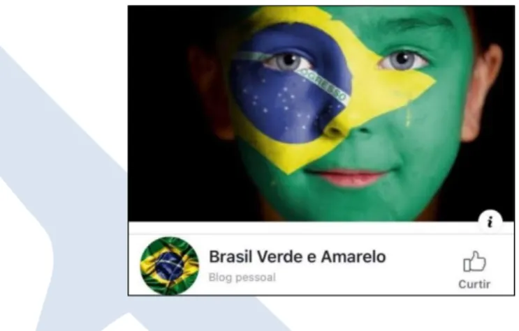 Figura 1 – Foto de página inicial do grupo “Brasil Verde e Amarelo” 