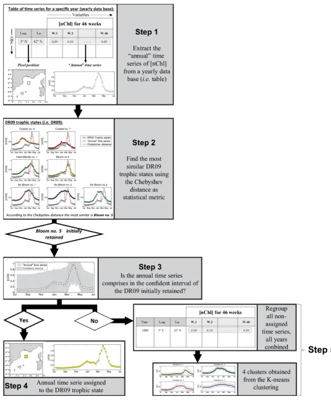Figure 1. Schematic representation of the different steps of the method used in this study (see Sect