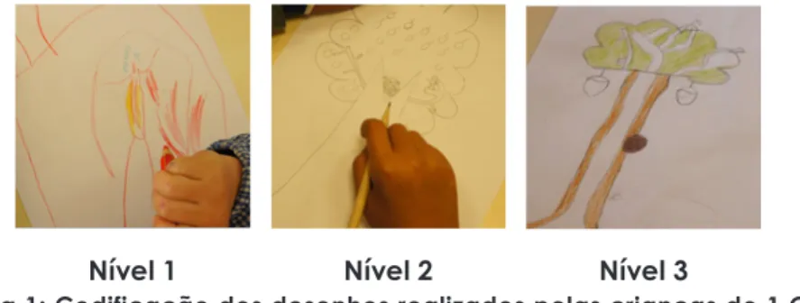 Figura 1: Codificação dos desenhos realizados pelas crianças do 1 CEB  sobre a temática “Árvore Monumental”.