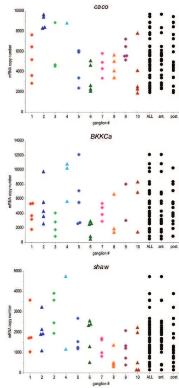 Figure 4. Ion channel mRNA measurements are not apparently more similar within an animal than across the population