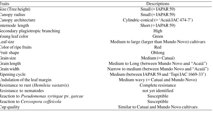 Table 2. Morphological, physiological and agronomic traits of the IPR 98 cultivar with the respective descriptions