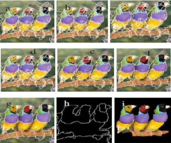 Figure  2  shows  an  example  of  how  semi-supervised  similarity  region  merging  method  extract  object contour from a complex background