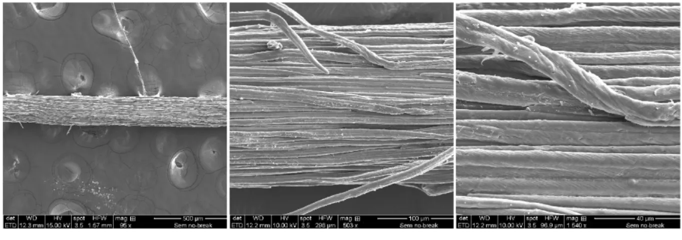 Figura 7. Fotomicrograias em diferentes aumentos por MEV da ibra de coco imersa por 81 dias na solução NaOH-10