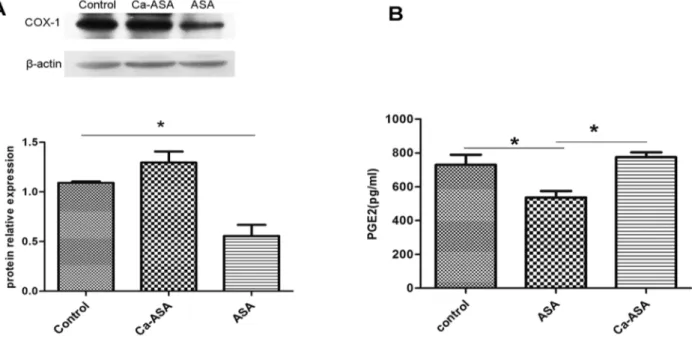 Figure 8. Effect of ASP and Ca-ASP on COX-1 expression (A) and PGE2 level (B) in rat gastric tissue.