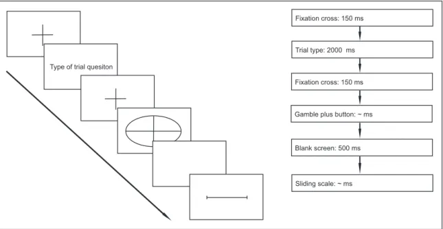 Figure 2: Experimental procedure.