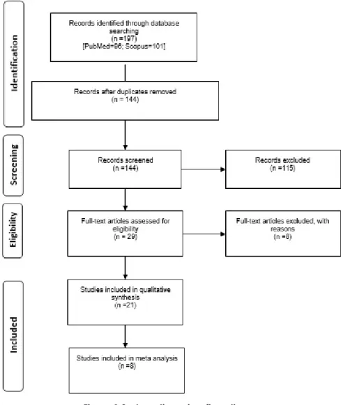 Figure 1 Systematic review flow diagram.