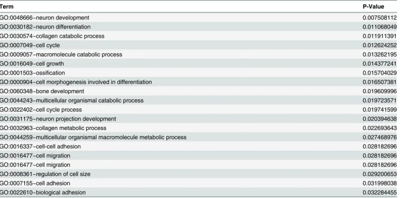 Table 3. Top enriched GO terms for CTNNA2 and its first neighbors.