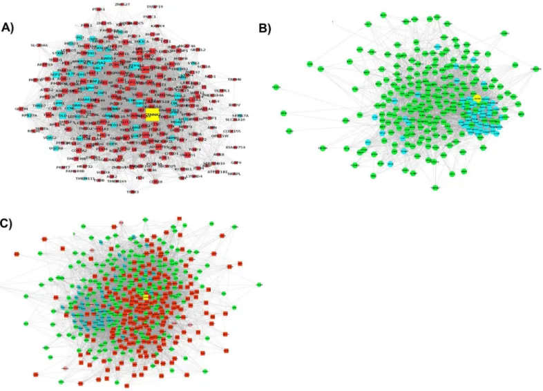 Fig 1. The interaction networks for DEGs as predicted by GeneMania and visualized in Cytoscape