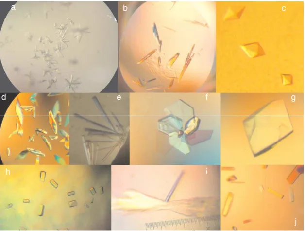 Fig. 2 – Crystals obtained by four different groups of the SMolBNet. The letters “a” to “j” correlate to the information for each individual protein presented in Table I