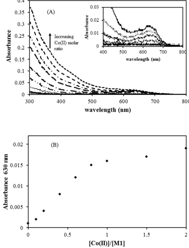 Fig 1. (A) The change of absorption spectra of Co(II)-bound M1 peptide (400 μM in pH 7.4 20 mM phosphate buffer) upon stepwise Co(II) addition (inset; the widened view of the absorption spectra near 630 nm region)