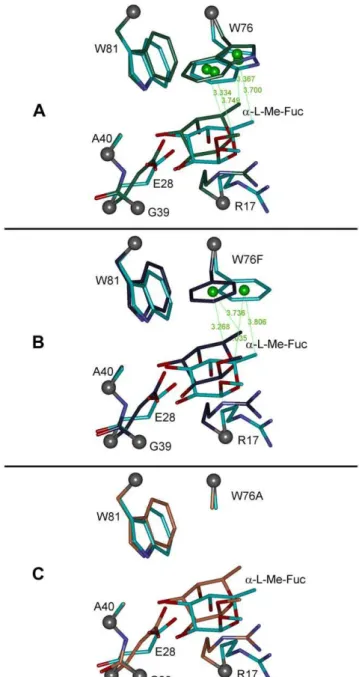 Figure 4. Overlay of the RSL binding site models before and after geometry optimization
