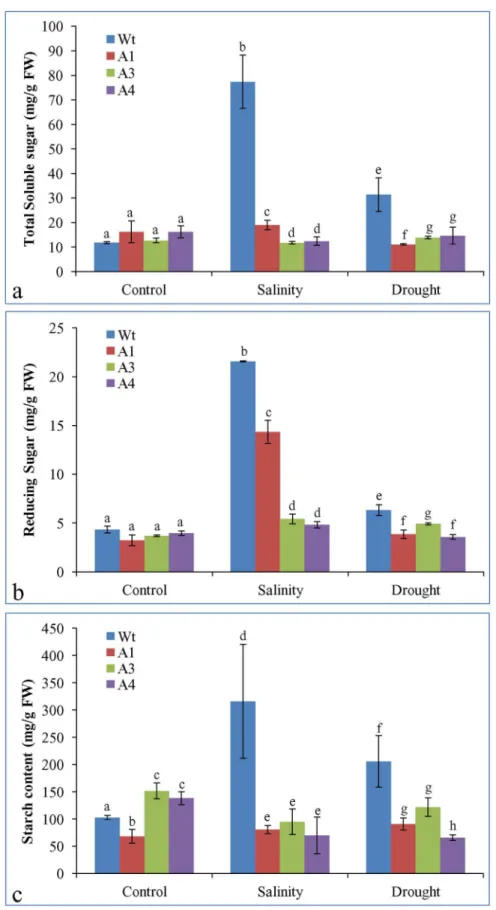 Fig 9. Estimation of Sugar contents. Total soluble sugar (a), reducing sugar (b) and starch content (c) of Wt plants and transgenic lines under control and stress conditions