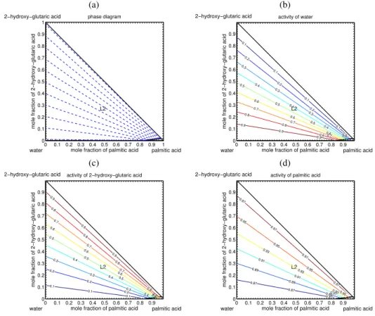 Fig. 5. Construction of the phase diagram for the system water/2-hydroxy-glutaric acid(X1)/palmitic acid(X4) at 298.15 K with tracking of the presence of each distinct phase region