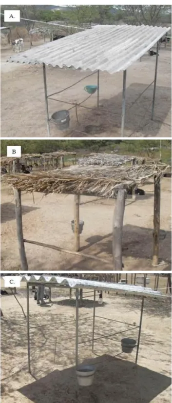 Figura 1. Abrigos individuais para bezerras com  cobertura  de  telha  de  ibrocimento  (A),  palha  (B)  e  telha reciclada (C)