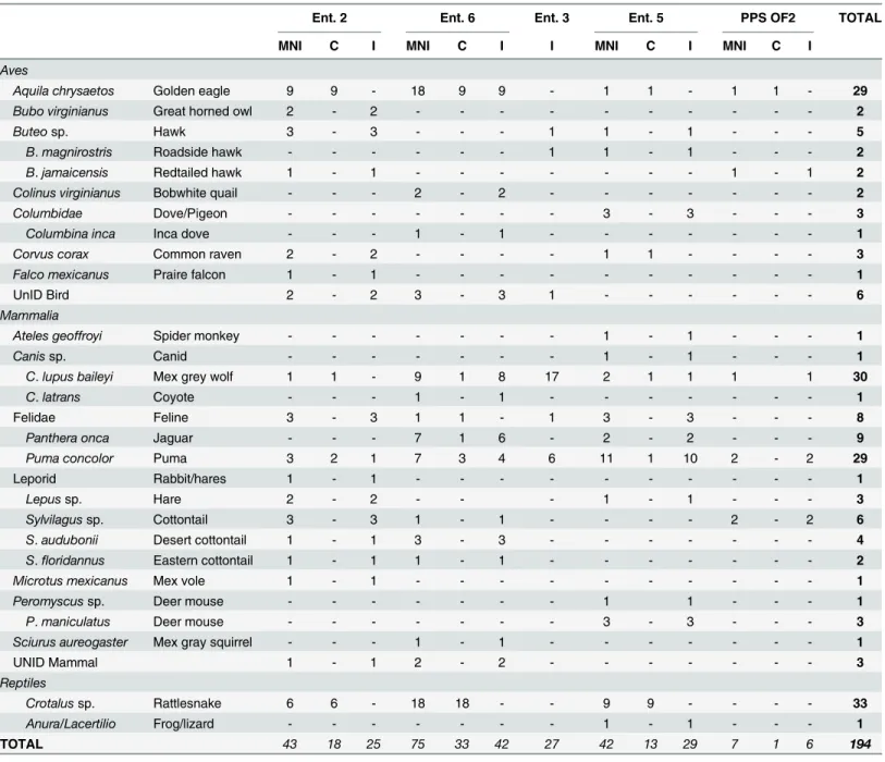 Table 2. Species distribution of zooarchaeological remains from the Moon Pyramid (Ent